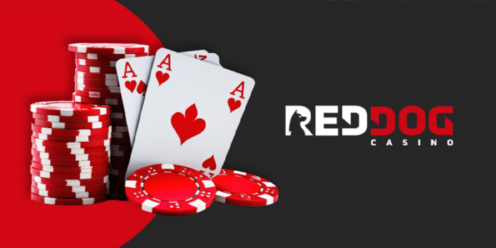 Tips Meningkatkan Peluang Kemenangan di Casino Red Dog